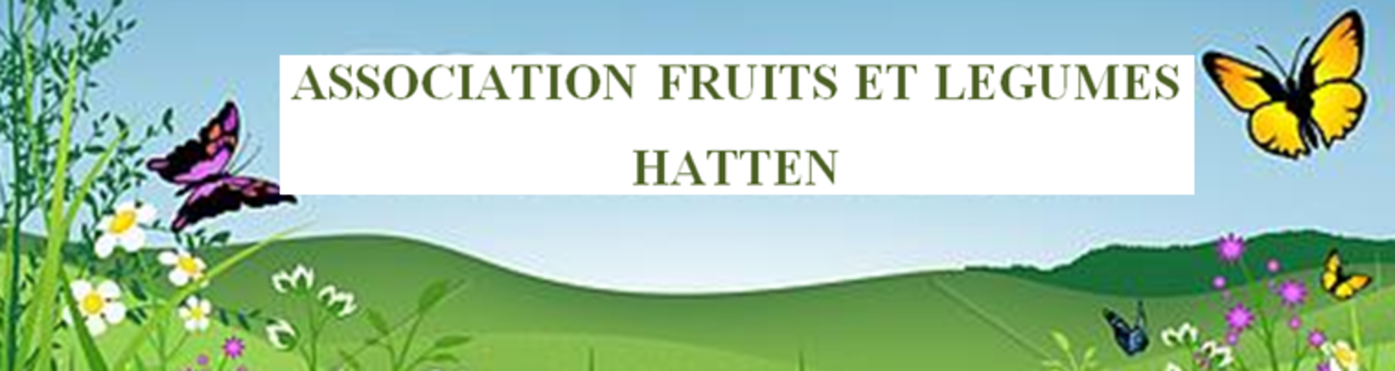 Association fruits et légumes Hatten
